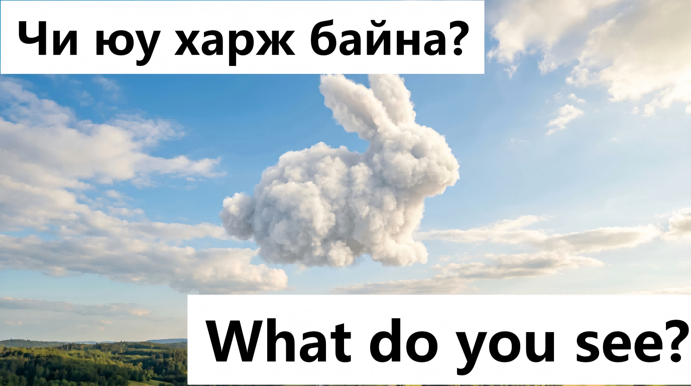 What do you see?