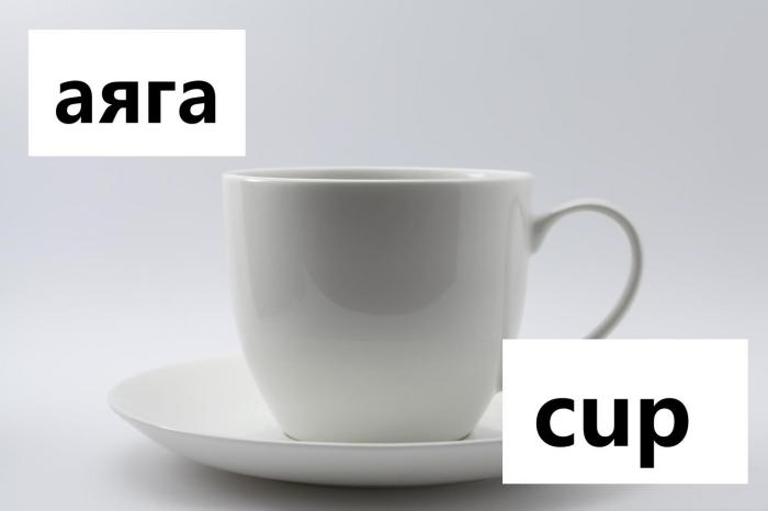Cup