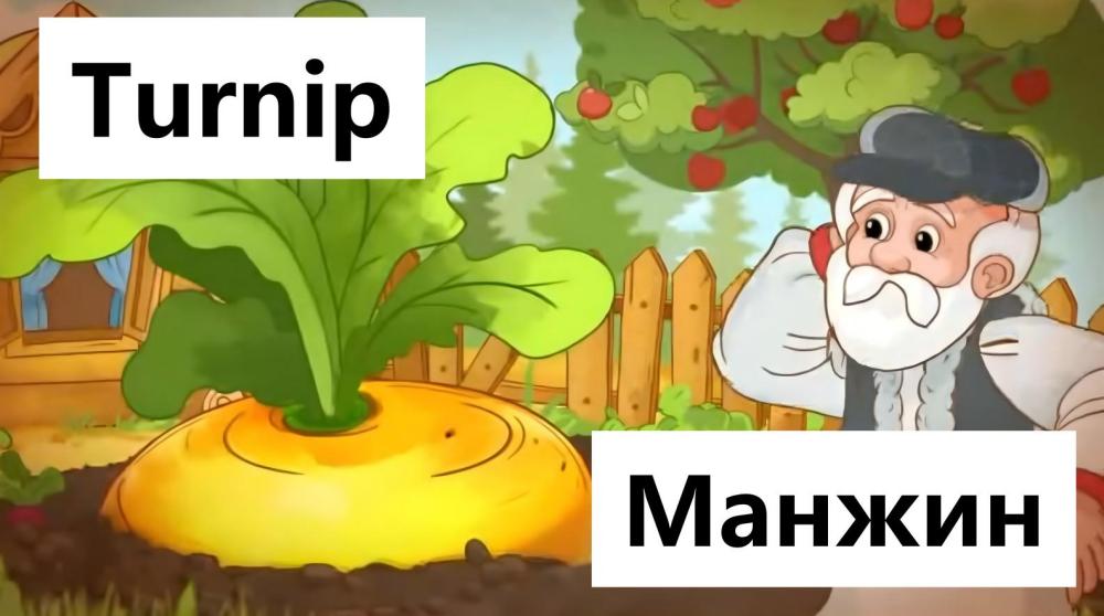 Turnip