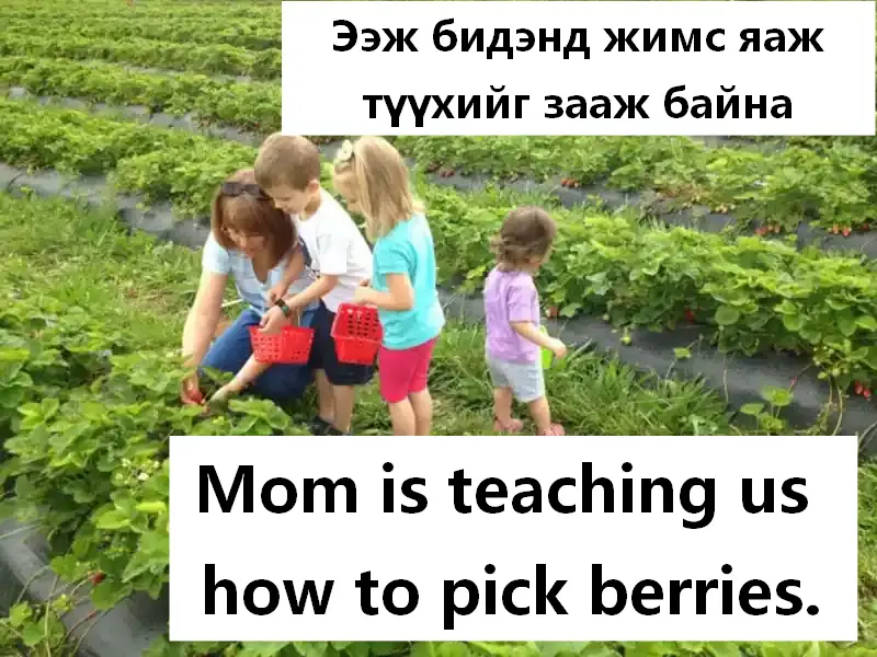 Ээж жимс яаж түүхийг зааж байна