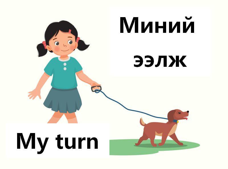 Ээлжилж нохойгоо гаргая