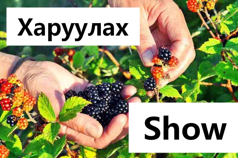 Би чамд харуулъя